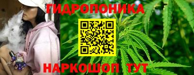 гидра Тара