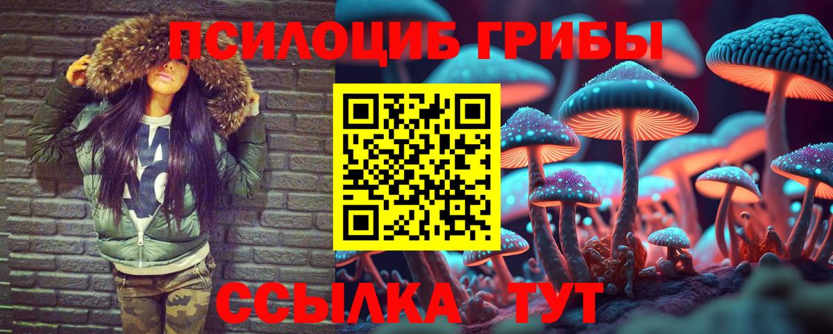 Галлюциногенные грибы Cubensis  Вход с VPN  Новоуральск 